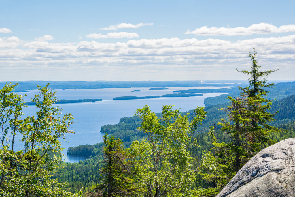 Koli national park - Finland - Christoffel Travel