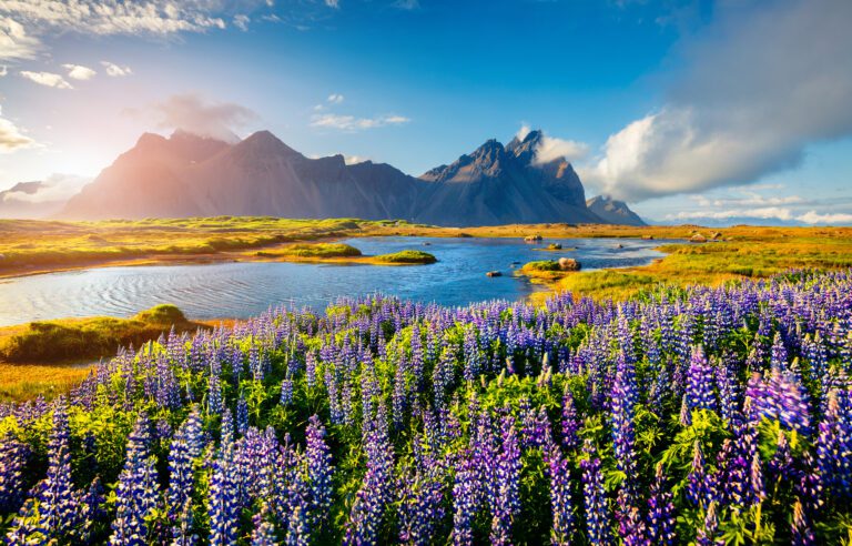 Klassiek IJsland vakantie - reizen - Christoffel Travel