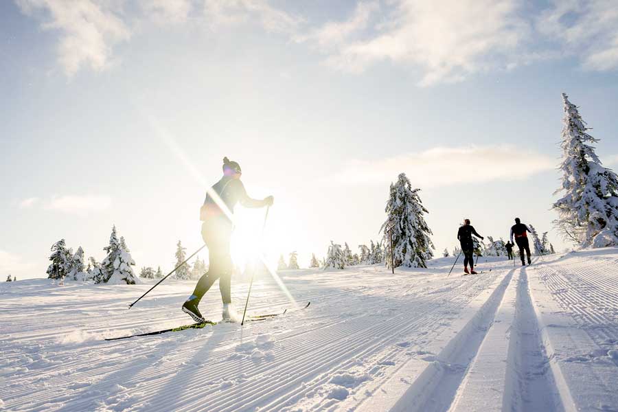 langlaufen - Levi - Finland - Christoffel Travel