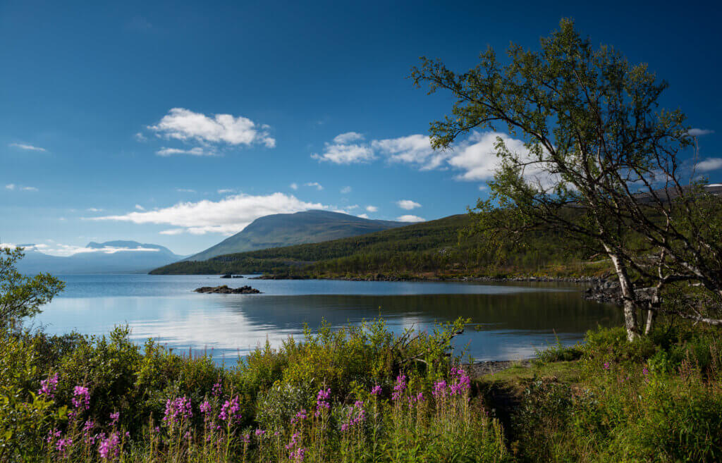 Abisko National Park - Zweden - zomer - Christoffel Travel