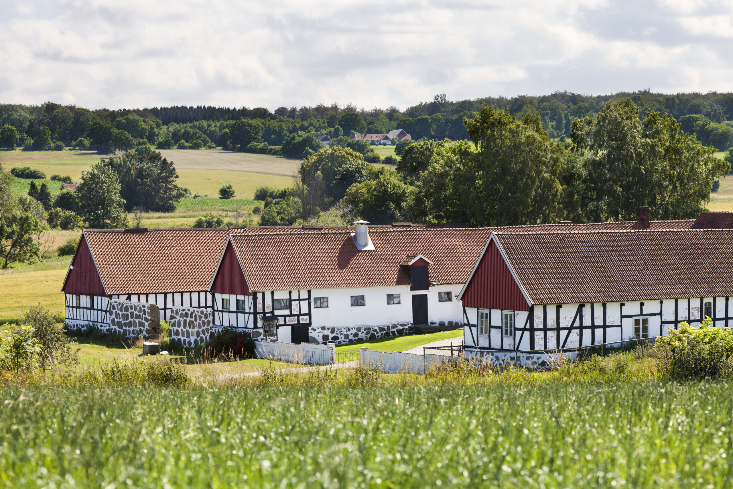Österlen - Zweden - Christoffel Travel