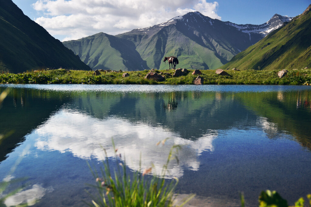 Juta - Kazbegi - Georgie - Christoffel Travel