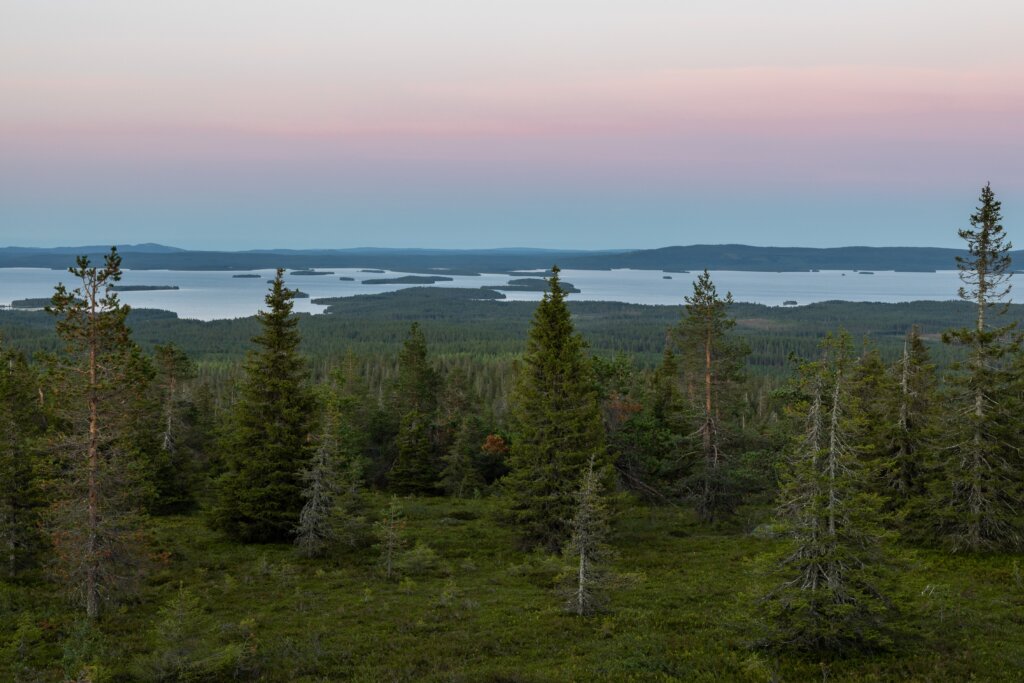 Posio - Finland - zomer - Christoffel Travel