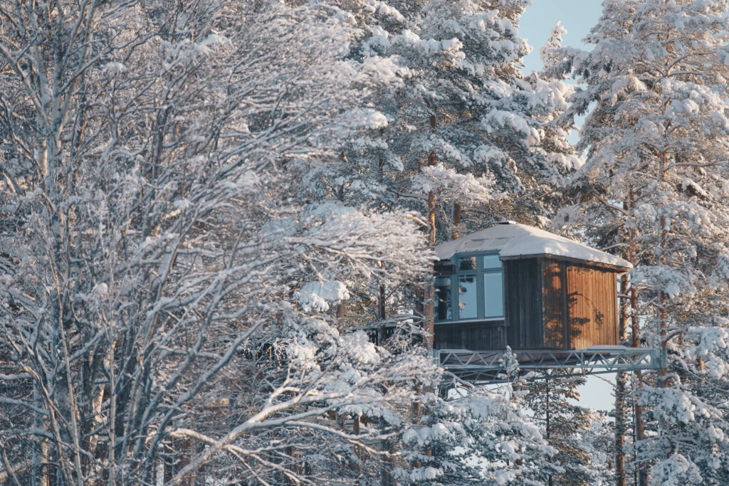 Grano Beckasin - Zweden - Christoffel Travel