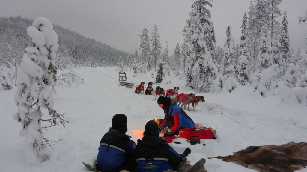 Huskytocht - Zweeds Lapland - Christoffel Travel