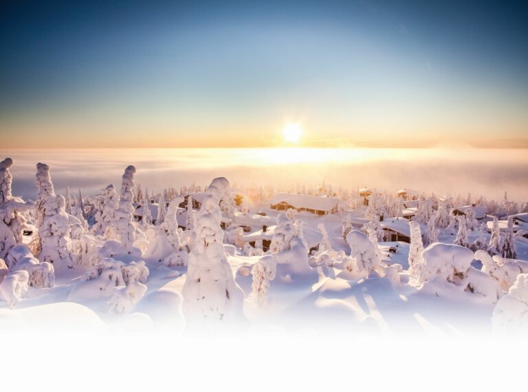 Ontsnap naar Iso-Syöte - Finland - Christoffel Travel