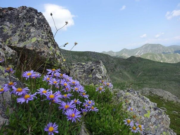 Gorna Belica - Noord-Macedonie - Christoffel Travel