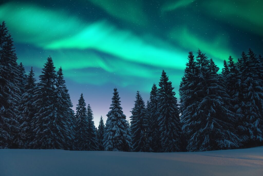noorderlicht-lapland-vakantie-reizen-christoffel-travel