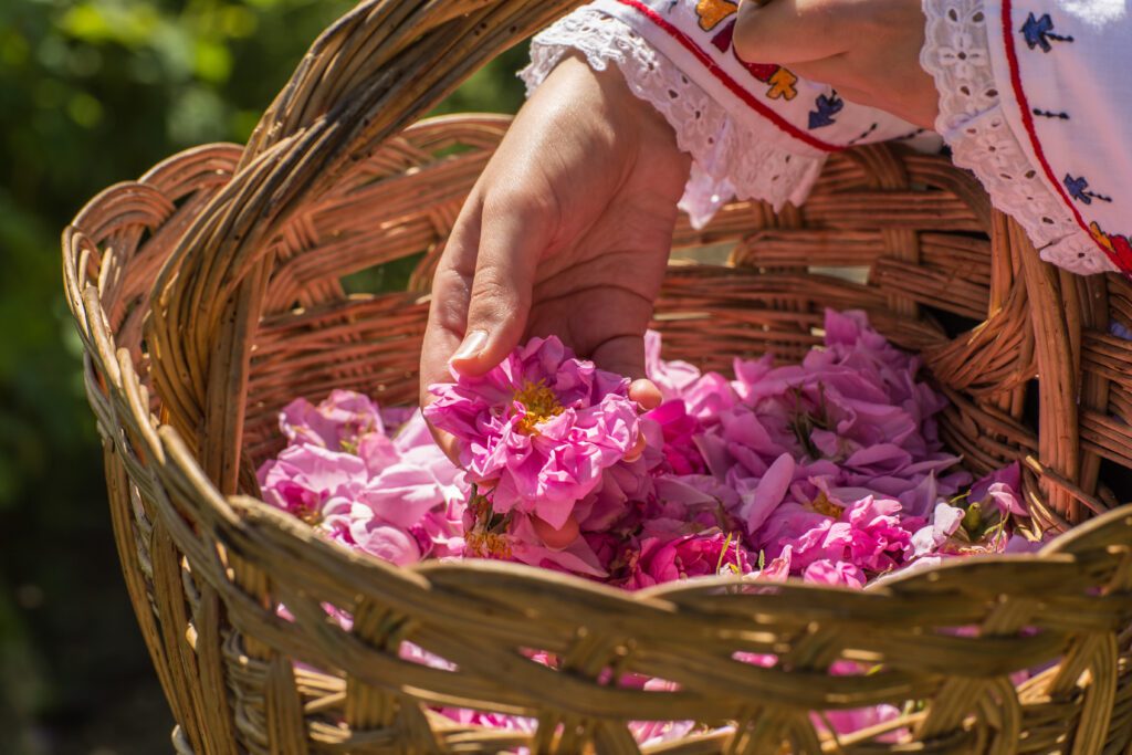 Vakantie Bulgarije - Christoffel Travel