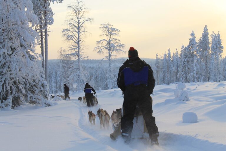 Luxe shortbreak Fins Lapland - Christoffel Travel