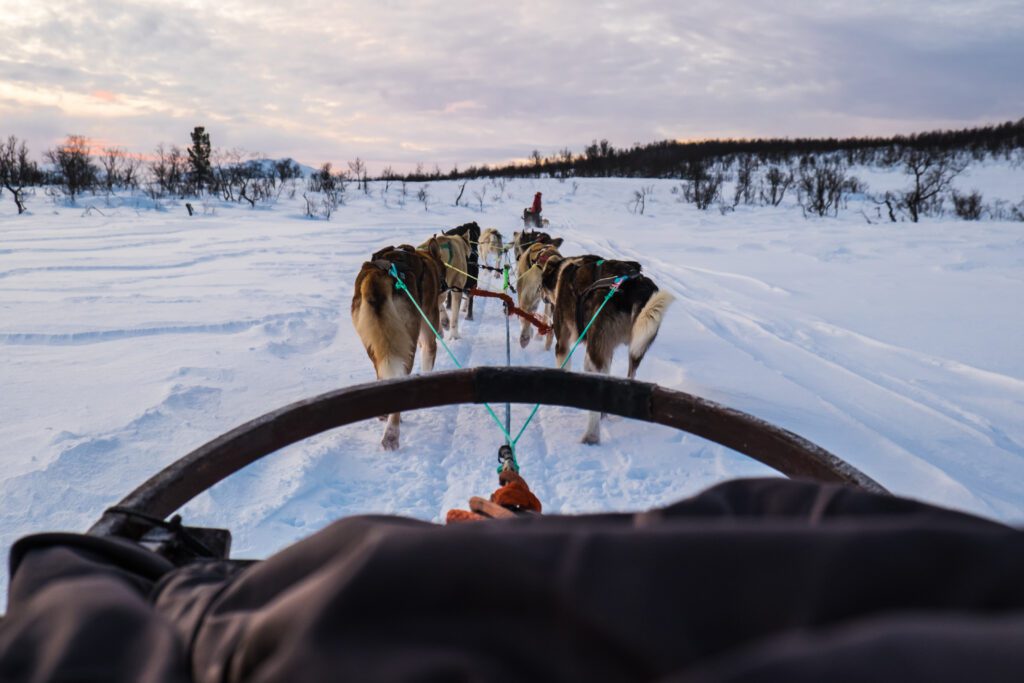 tromso-huskysafari-noorwegen-lapland-vakantie-christoffel-travel