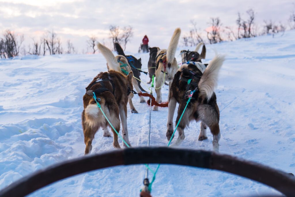 tromso-noorwegen-vakantie-reizen-christoffel-travel