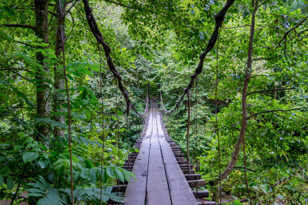 Mtirala national park - rondreis Georgië - Christoffel Travel