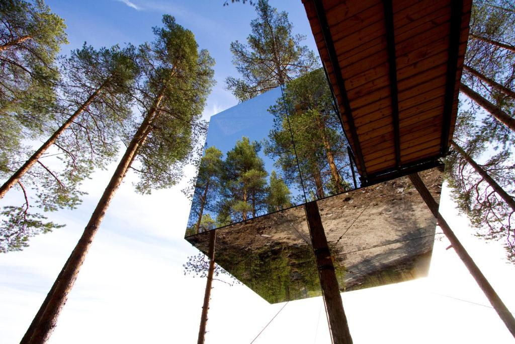 Treehotel Zweden - Christoffel Travel
