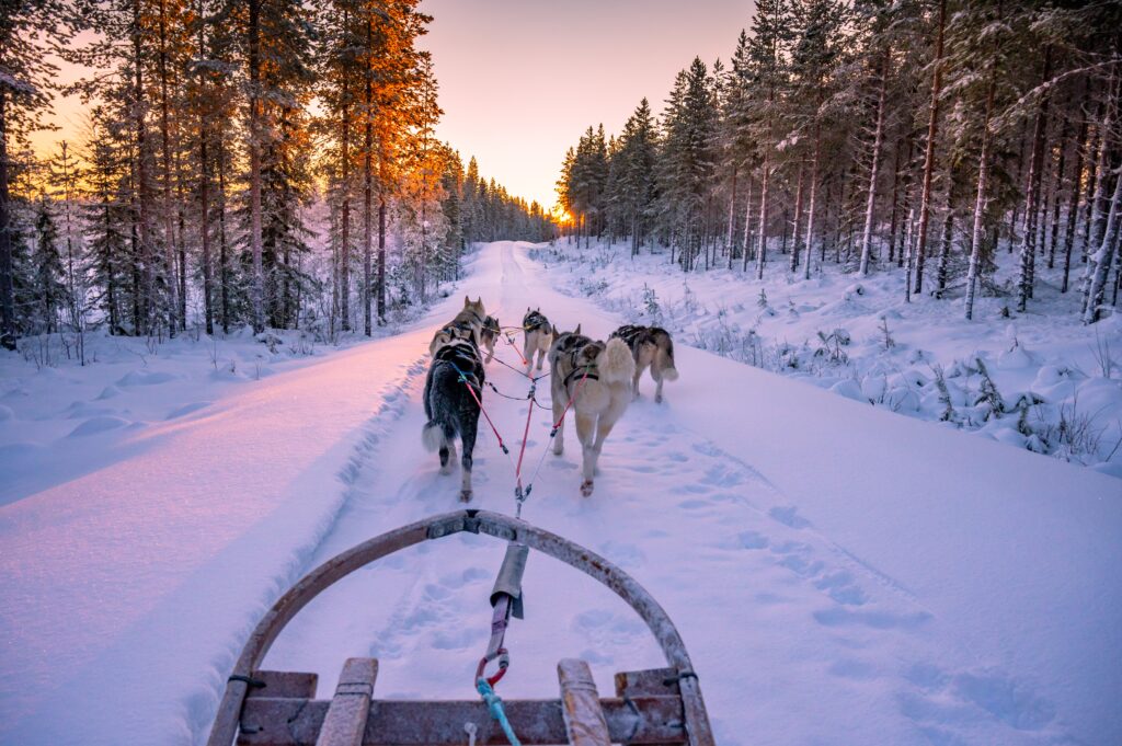 huskysafari-zweeds-lapland-christoffel-travel-reizen