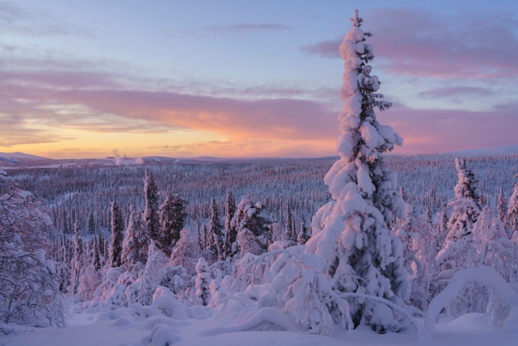 lapland-winterreizen-maatwerk-landschap-christoffel-travel